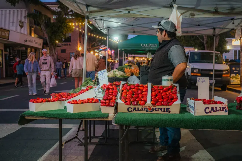 Exploring Westworth Village: Beyond the Roadside in Westworth